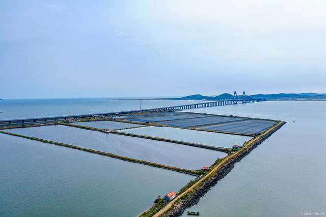 惠来前詹镇鲍鱼场 透明海水养殖池，见识海洋珍宝