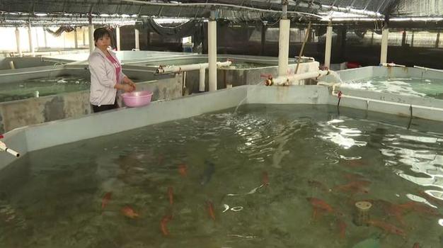 乐东举办2026年海水养殖技术与生态治理能力提升专题培训班