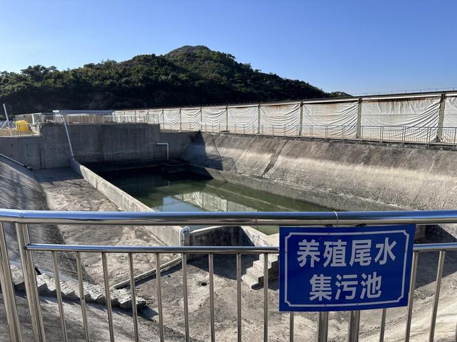守护海洋生态，突查大鹏陆域海水养殖基地的实践与思考